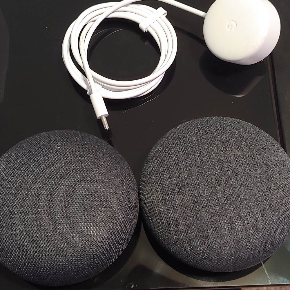 Two google home minis